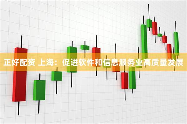 正好配资 上海：促进软件和信息服务业高质量发展