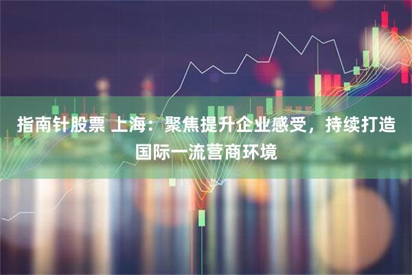 指南针股票 上海：聚焦提升企业感受，持续打造国际一流营商环境