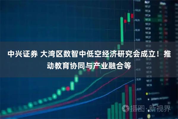 中兴证券 大湾区数智中低空经济研究会成立！推动教育协同与产业融合等